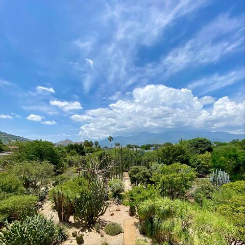 Cielo