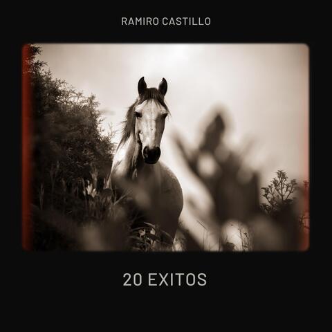 20 Exitos