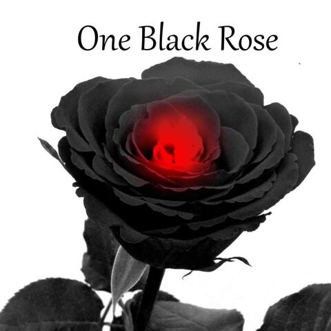 One Black Rose