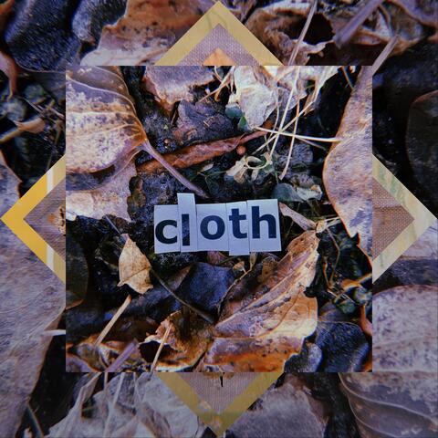 Cloth
