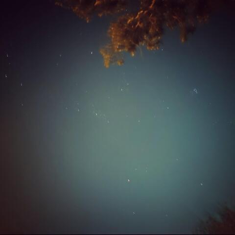 Under the Moonlight