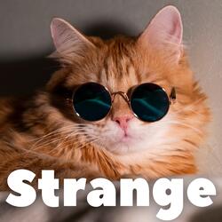 So Strange