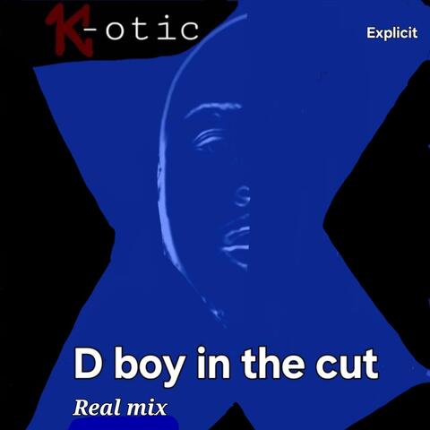D Boy in the Cut (Real Mix)