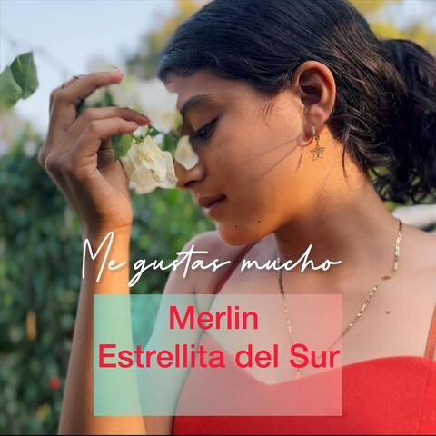 Me Gustas Mucho