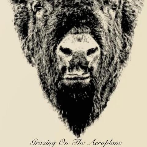 Grazing on the Aeroplane