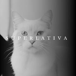Superlativa
