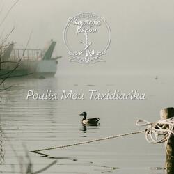 Poulia Mou Taxidiarika