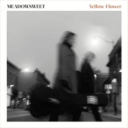 Yellow Flower