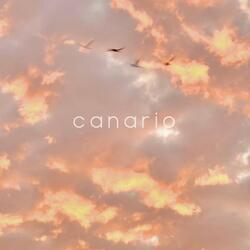 Canario (Thin Trees Unfolding II)