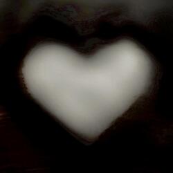 I woke up in a field of flowers...