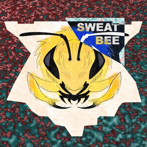 Is It Sweat Bee?