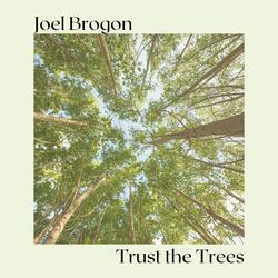 Trust the Trees