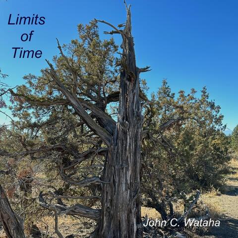 Limits of Time