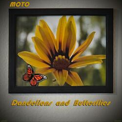 Dandelions & Butterflies