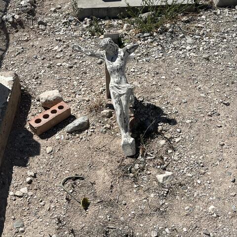 Green Chili Reaper Combo