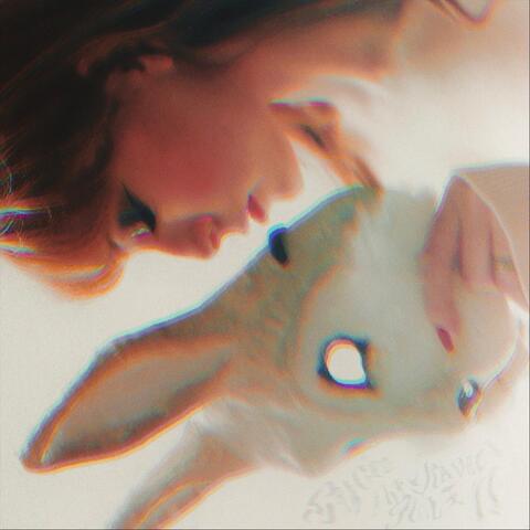 The Rabbit Hole II
