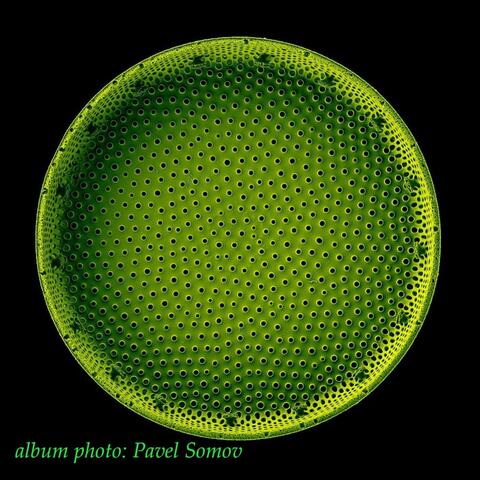 Porous