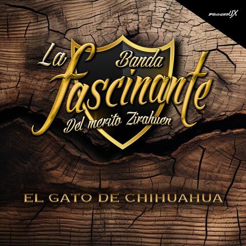 El Gato de Chihuahua