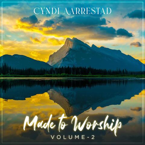 Made to Worship, Vol. 2