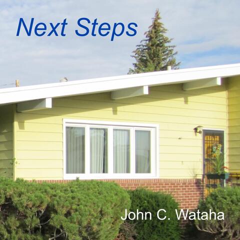 Next Steps