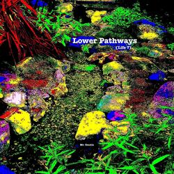 Lower Pathways (Life 7)