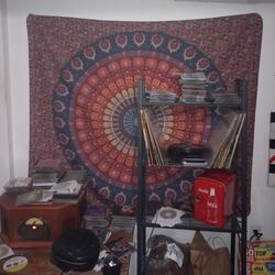 I Want to Love Again