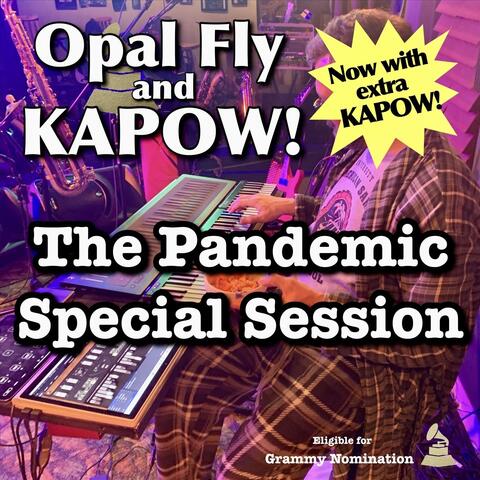 The Pandemic Special Session