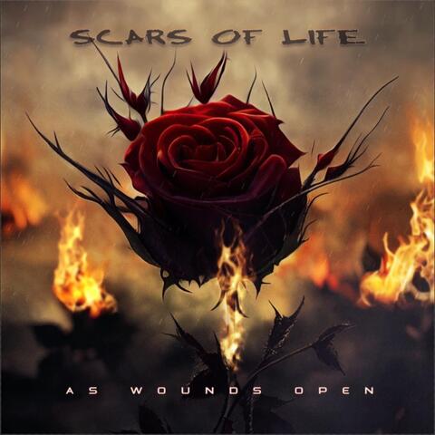 Scars of Life