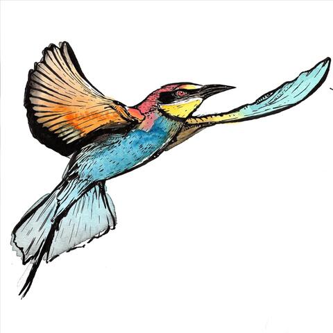 Oiseau=textual: the flying rap album