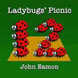 Ladybugs' Picnic