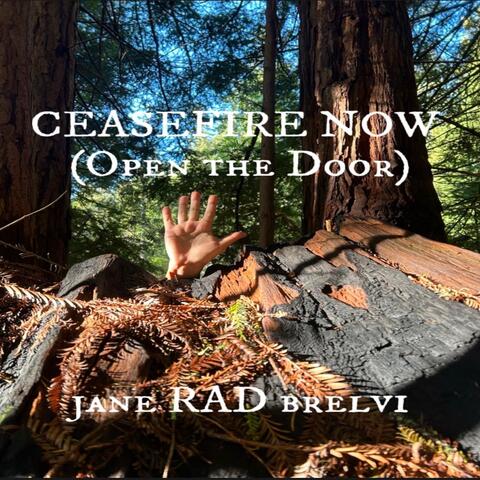 Ceasefire Now (Open the Door)