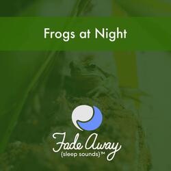 Frogs at Night