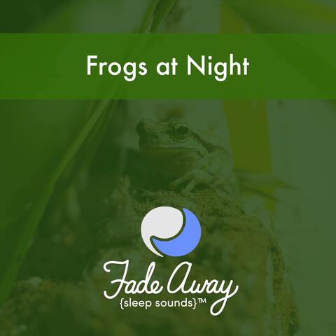 Frogs at Night