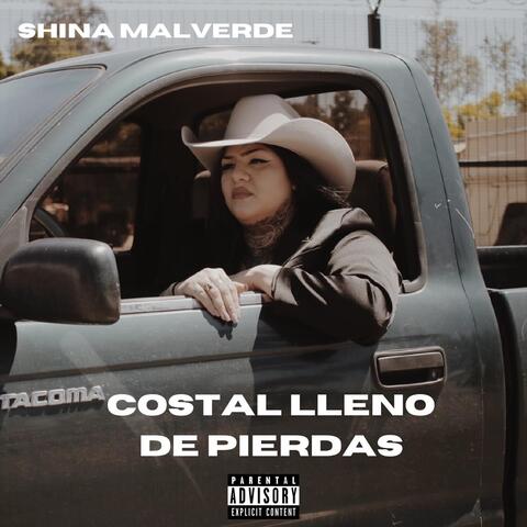Costal Lleno de Piedras
