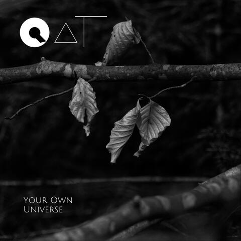 Your Own Universe