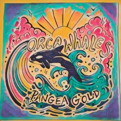 Orca Whales