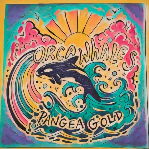 Orca Whales