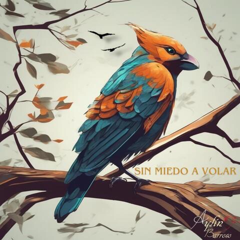 Sin Miedo a Volar