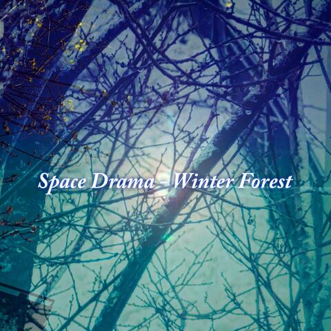 Winter Forest