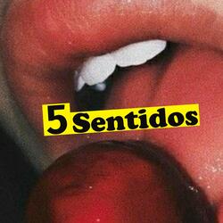 5 Sentidos