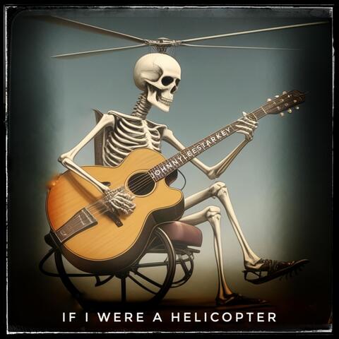 If I were a helicopter