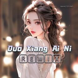Duo Xiang Ai Ni (Remix)