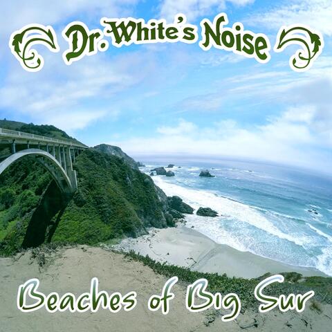 Beaches of Big Sur
