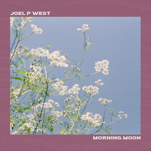 Morning Moon