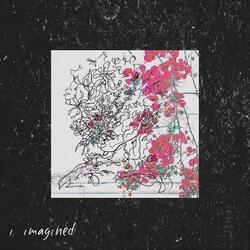 I Imagined