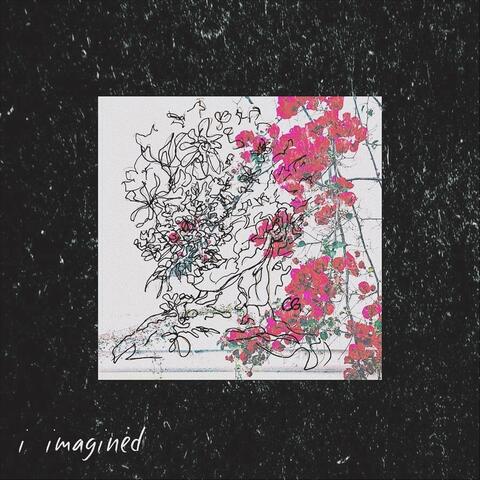 I Imagined