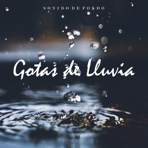 Sonido de Fondo: Gotas de Lluvia