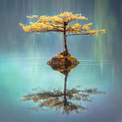 Meditation Pink Noise