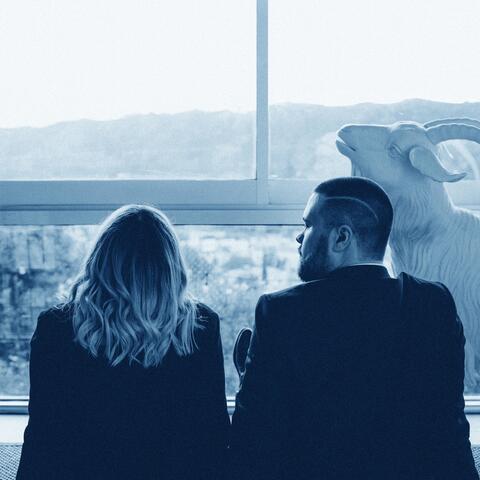 100 Bucks for Hawaiian Joe