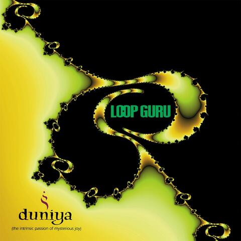 Loop Guru